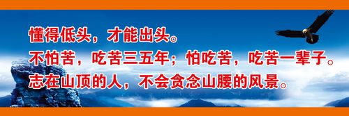 单缸柴油机循环水泵拆米博体育装视频(单缸柴油机油泵组装视频)